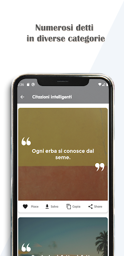 Citazioni Screen 3