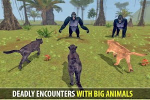 Panther Simulator: Wildlife Animal  Sim