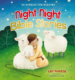 Icon image Night Night Bible Stories: 30 Stories for Bedtime