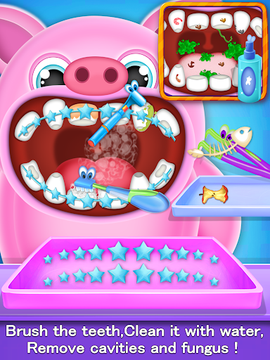 Animal Dentist For Kids