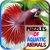 Puzzles of Aquatic Animals icon