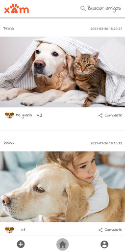 Android application Xam la red social de tu mascot screenshort