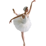 Ballet leg exercises icon