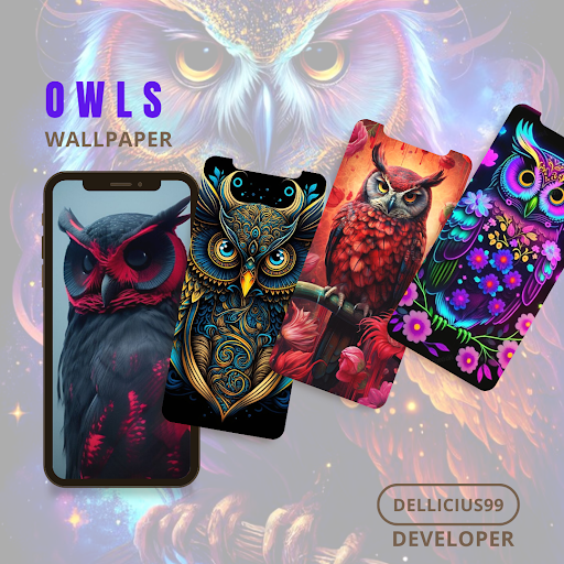 Android application Owls wallpapers screenshort