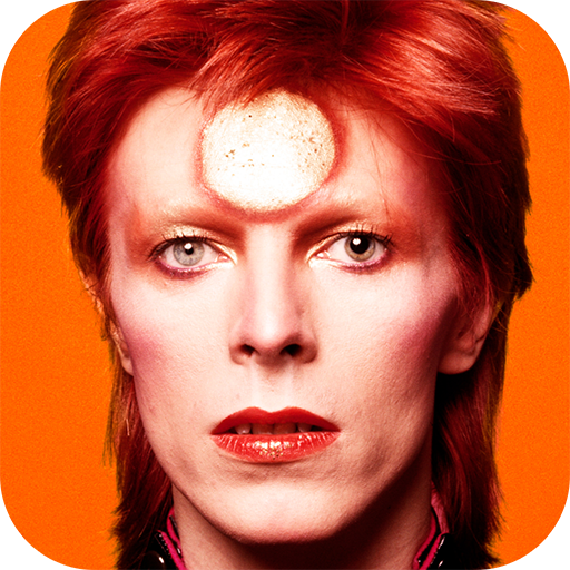 David Bowie is 0.6 Icon