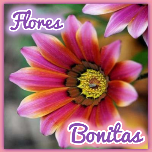 Flores Bonitas Download on Windows