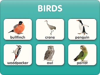 Animal sounds and flashcards for Kids