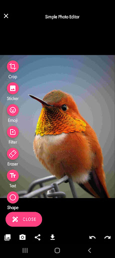 Simple Photo Editor Screen 2