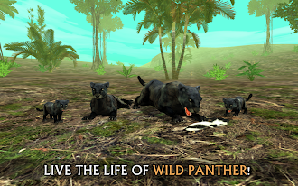 Game screenshot Wild Panther Sim 3D mod apk