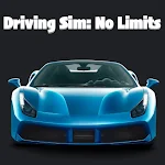 Cover Image of 下载 Driving Sim: No Limits 1.0.1 APK