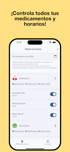 Vista previa de la aplicación