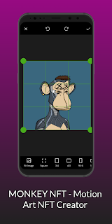 Monkey NFT - Motion Art
