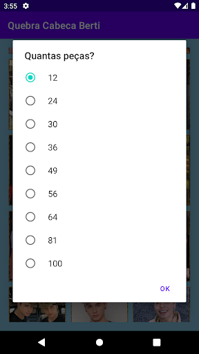 Quebra-Cabeças Irmaos Berti