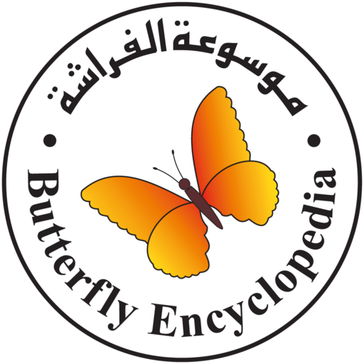 Online Butterfly Encyclopedia - AppWisp.com