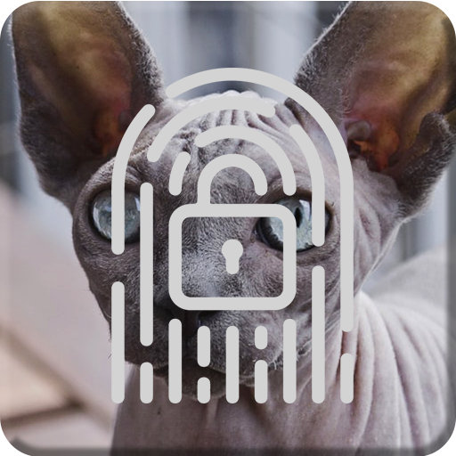 Cute Kitten Sphinx Cat Lock Sc - AppWisp.com