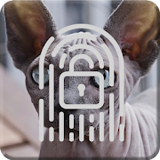 Top 44 Personalization Apps Like Cute Kitten Sphinx Cat Lock Screen - Best Alternatives