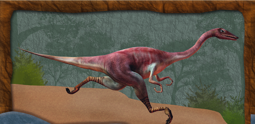 MIS Dino Card