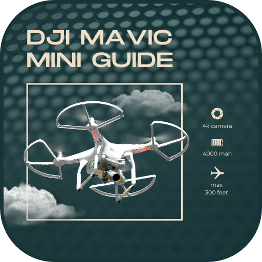 Video DJI Mavic Mini Guide logo