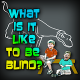 What Is It Like To Be Blind? icon