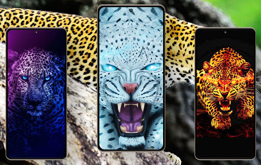 Leopard Wallpapers Screen 2
