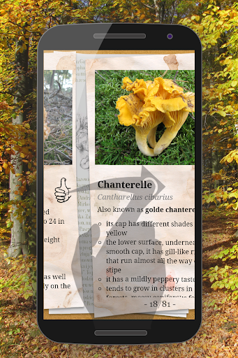 The Mushroom Book Screen 3