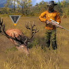 Wild Deer Hunter 2020:  Jogos de Caça de Animais 2.5