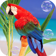 Top 30 Personalization Apps Like Parrots Live Wallpaper - Best Alternatives