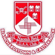 St Brigids GAA Club
