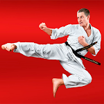 Cover Image of Herunterladen Learn Karate 1.0.0 APK