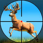 Cover Image of Download Wild Animal Hunting Games Gun  APK