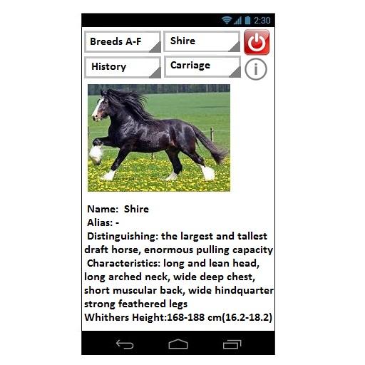 Horses Recount Screen 3