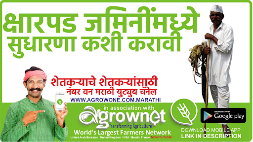 कापूस लागवड #Agrownet™ Screen 3