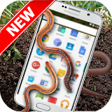 Earthworm On Screen -Fun Prank icon