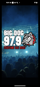 Big Dog – Call It What'cha Want – Vinyl (LP, Album), 1995