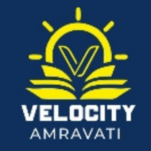 Velocity Institute logo