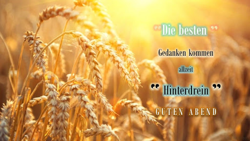 German Good morning to good night wishes quotes