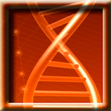 DNA Model LWP icon