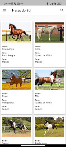 HarasHub Gerenciador de Haras Screen 3