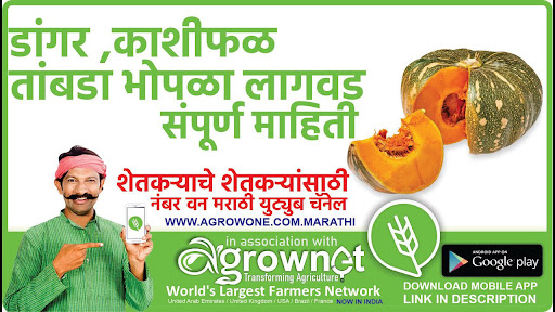 Android application मसूर लागवड #Agrownet™ screenshort