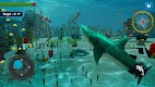 screenshot of Shark Game Simulator