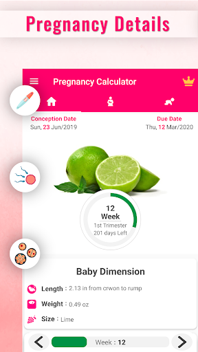 Pregnancy Calculator -Track Pregnancy Week by Week 23.6 Screenshots 5