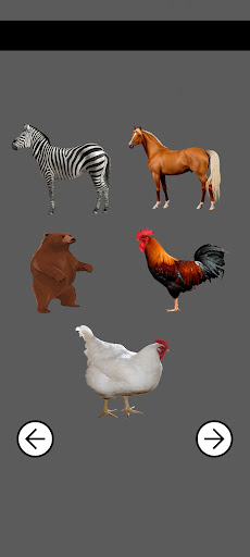 Animal Sounds Screen 3
