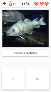Imágen 7 Animales: mamíferos, pájaros! android