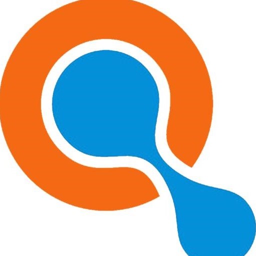 netchatsa logo