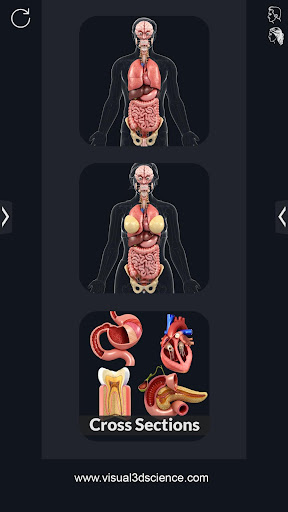 My Organs Anatomy screenshot for Android