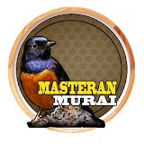 Chirping Masteran Murai icon