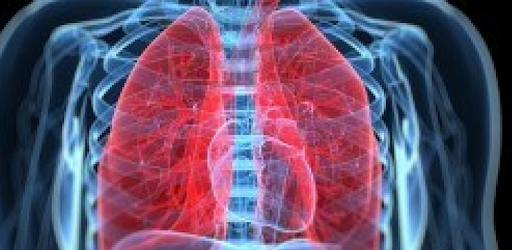 Respiratory System - Apps on Google Play