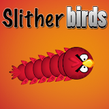 Slither Birds IO icon