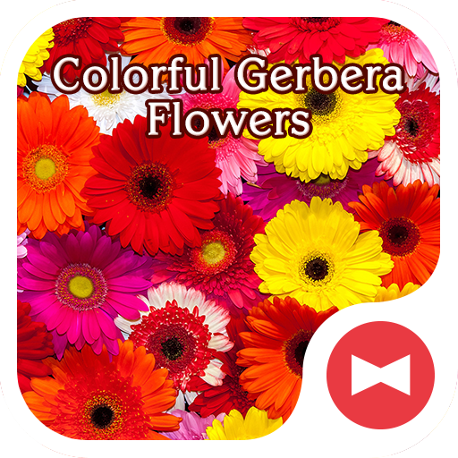 花壁紙アイコン カラフルなガーベラ 無料 Google Play のアプリ