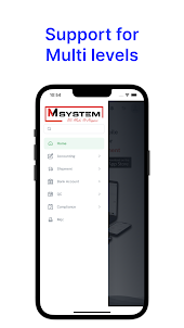 M System